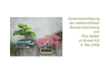 2009 Bonsaigarten Boswil - Fibromyalgie Selbsthilfe Aargau