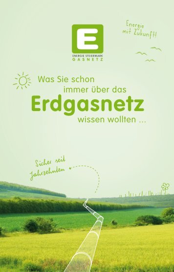 Was Sie schon immer über das Erdgasnetz wissen wollten (2013)