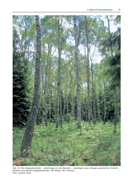 Waldfunktionen im Land Brandenburg - Landesbetrieb Forst ...