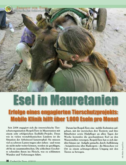 pdf-download der gesamten Ausgabe - Magazin Freiheit für Tiere