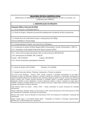 Relatorio cientifico