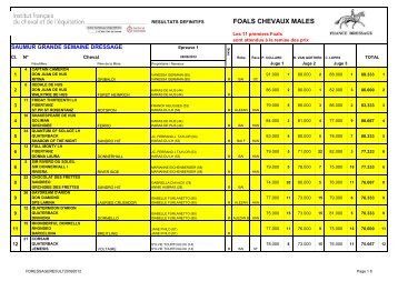 FOALS CHEVAUX MALES 42 - France Dressage