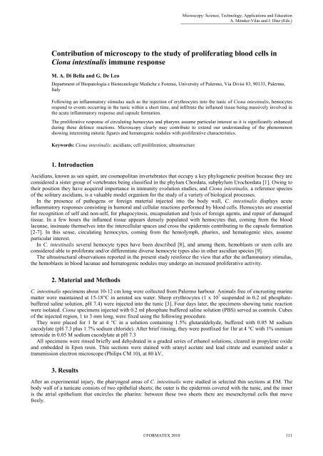 Contribution of microscopy to the study of proliferating blood cells in ...