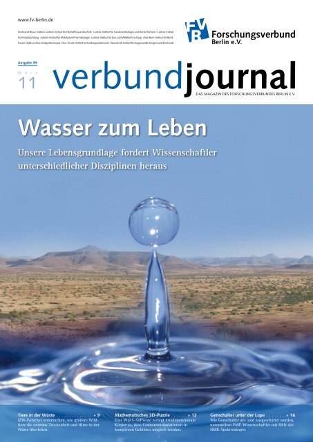 85/2011 - Forschungsverbund Berlin