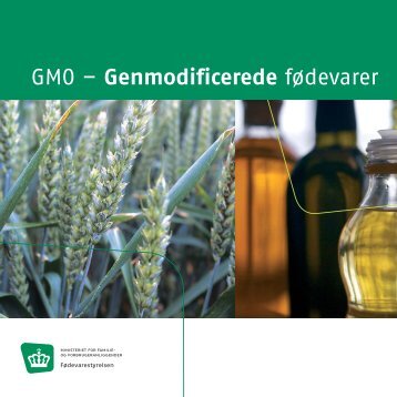 GMO – Genmodificerede fødevarer - Fødevarestyrelsen