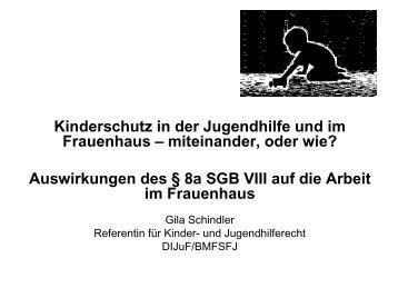 Hintergründe und Vorgeschichte der Neuregelung des § 8a SGB VIII