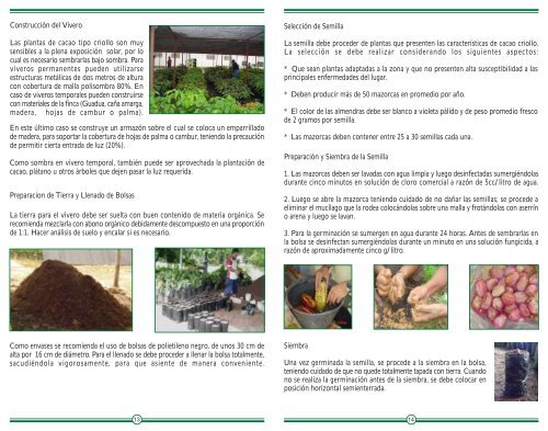 Aspectos agronomicos para el cultivo de cacao