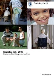 Sozialbericht 2008 - Strukturen, Entwicklungen und ... - Ingolstadt