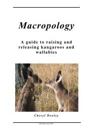 Macropology - Fourth Crossing Wildlife