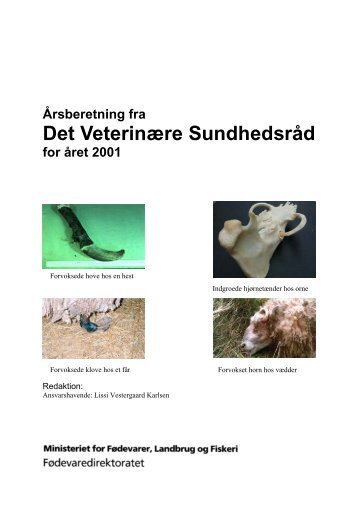 Årsberetning fra Det Veterinære Sundhedsråd for året 2001