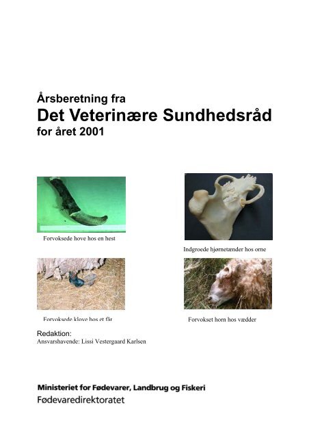 Årsberetning fra Det Veterinære Sundhedsråd for året 2001