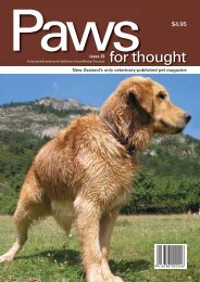 Issue 23 Spring 2005 - September - The Vetservice Group