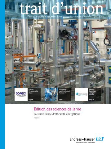 Ouvrir le document (PDF 1,04 MB) - Endress+Hauser