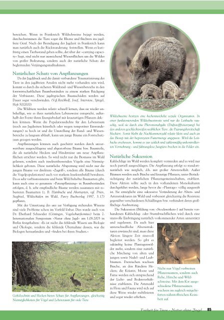 pdf-download Teil 2 - Magazin Freiheit für Tiere