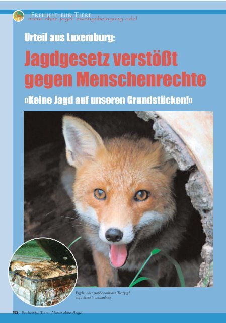 pdf-download Teil 2 - Magazin Freiheit für Tiere