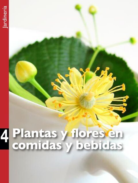 Plantas y flores en comidas y bebidas