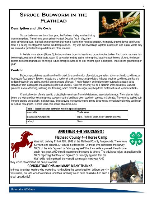 Flathead County Newsletter - Flathead County Health Department