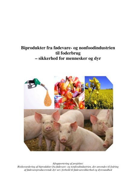 Biprodukter fra fødevare - Fødevarestyrelsen