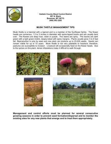 Gallatin County Weed Control District - Gallatin County, Montana