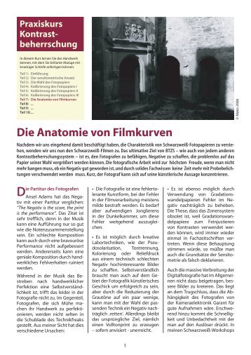 Die Anatomie von Filmkurven - Fotoespresso