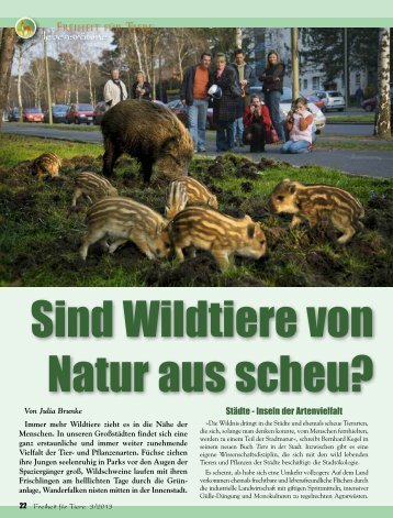 pdf-download - Magazin Freiheit für Tiere