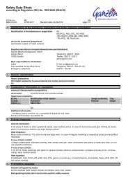 ML - Ganzlin Beschichtungspulver GmbH