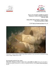 Survey of a non-native ascidian Didemnum vexillum (sea squirt) in ...