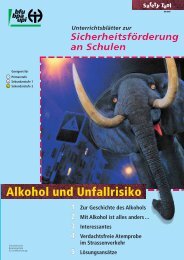 Alkohol und Unfallrisiko.pdf - Fonds für Verkehrssicherheit FVS