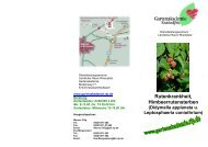 4) Neue Infoblätter Himbeerrutensterben.pdf - Gartenakademie