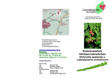 4) Neue Infoblätter Himbeerrutensterben.pdf - Gartenakademie