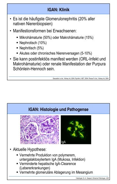 Glomerulopathien - Fortbildung