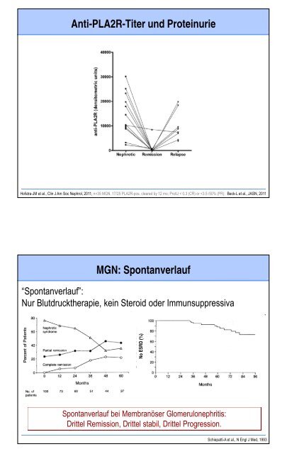 Glomerulopathien - Fortbildung