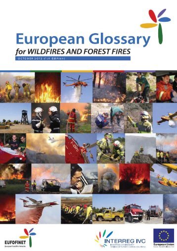 European Glossary for Wildfires and Forest Fires - The Global Fire ...