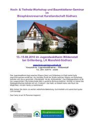 Hoch- & Tiefnetz-Workshop und Baumkletterer-Seminar ...