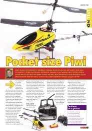 Pocket size Piwi - Flying Toys Ltd