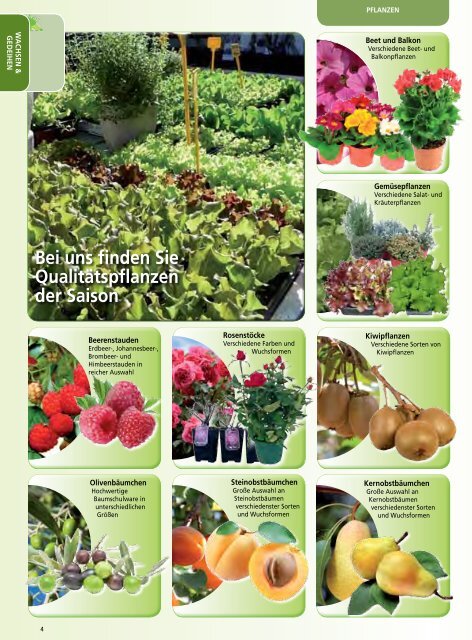 Download Katalog (pdf 13mb) - Gartenmarkt