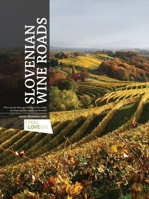 SLOVENIAN WINE ROADS