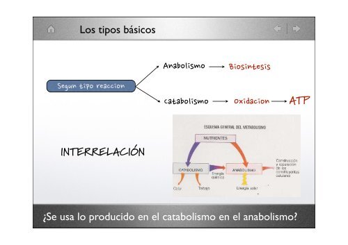 La célula eucariota