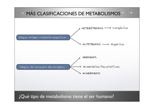 La célula eucariota