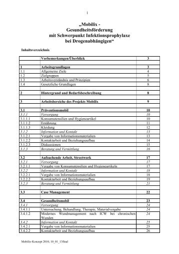 Mobilix-Projektkonzept, Stand Januar 2010