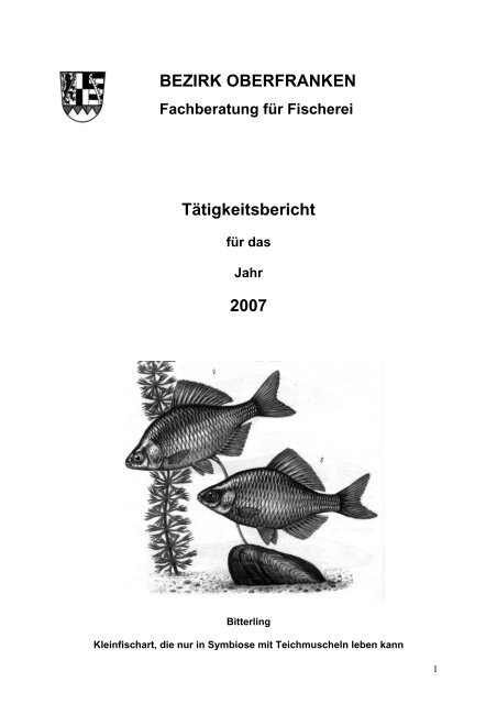 BEZIRK OBERFRANKEN Tätigkeitsbericht 2007