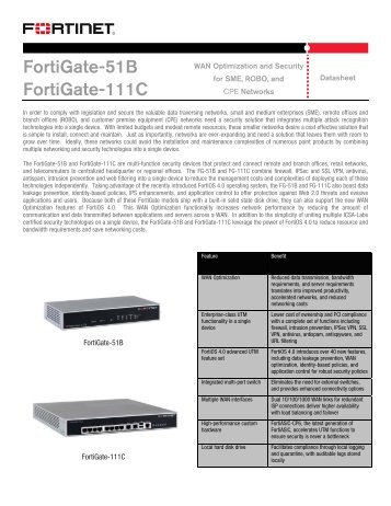 FortiGate-51B, -111C - Foreseeson