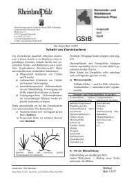 GrBl2007-04.pdf - Gartenakademie