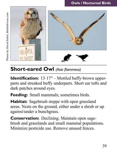 Sagebrush Birds - Point Reyes Bird Observatory