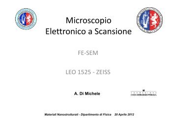 Microscopio Elettronico a Scansione - Fisica