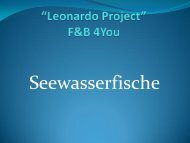 Salzwasserfische