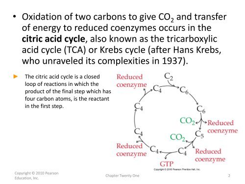 21.8 The Citric Acid Cycle