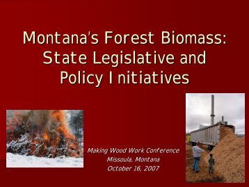 Montana's Forest Biomass - Fuels for Schools and Beyond