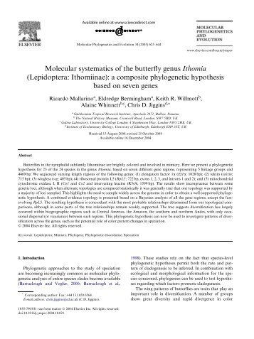 Molecular systematics of the butterfly genus Ithomia - Florida ...