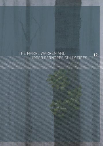 12 the narre warren and upper ferntree gully fires - 2009 Victorian ...